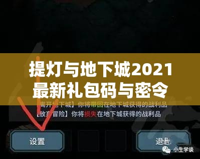 提灯与地下城2021最新礼包码与密令全集，解锁资源管理高效艺术