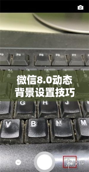 微信8.0动态背景设置技巧，实现资源管理高效利用，有效避免资源浪费