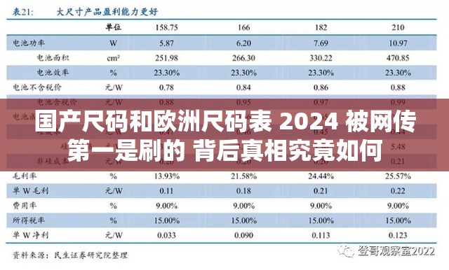 国产尺码和欧洲尺码表 2024 被网传第一是刷的 背后真相究竟如何