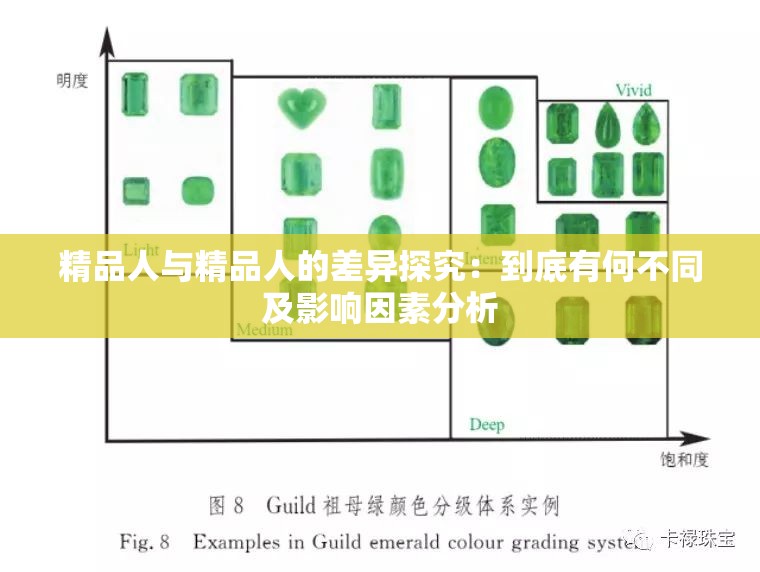 精品人与精品人的差异探究：到底有何不同及影响因素分析