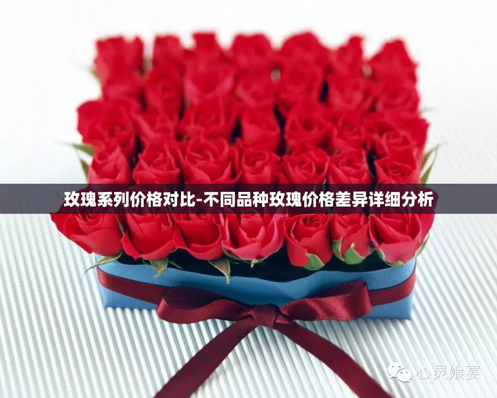 玫瑰系列价格对比-不同品种玫瑰价格差异详细分析