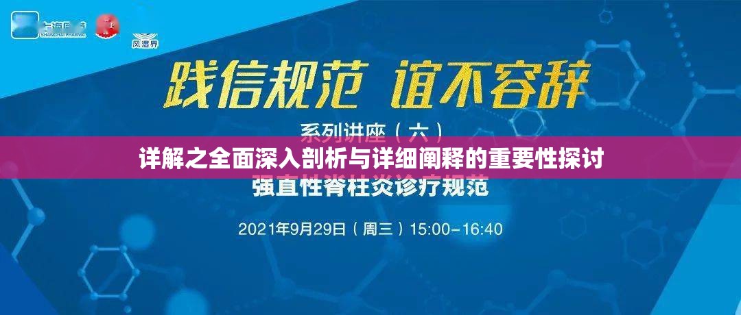 详解之全面深入剖析与详细阐释的重要性探讨