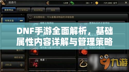 DNF手游全面解析，基础属性内容详解与管理策略探讨