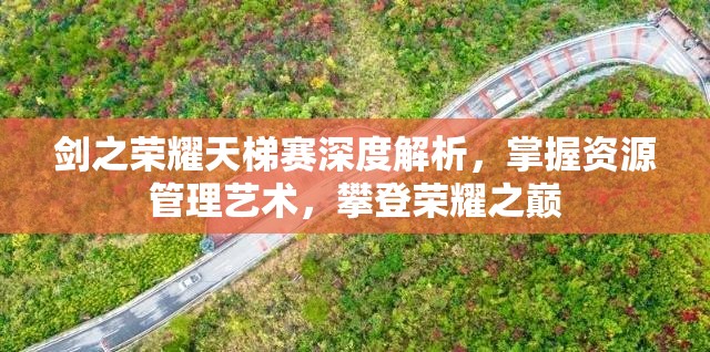 剑之荣耀天梯赛深度解析，掌握资源管理艺术，攀登荣耀之巅