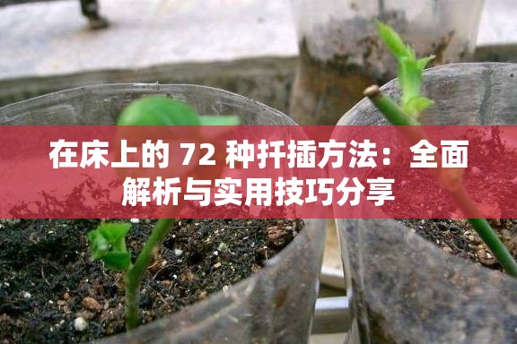 在床上的 72 种扦插方法：全面解析与实用技巧分享