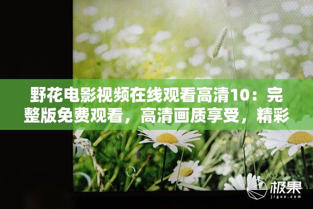 野花电影视频在线观看高清10：完整版免费观看，高清画质享受，精彩剧情不容错过