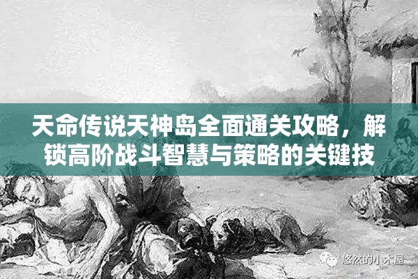 天命传说天神岛全面通关攻略，解锁高阶战斗智慧与策略的关键技巧