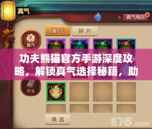 功夫熊猫官方手游深度攻略，解锁真气选择秘籍，助你战力飙升轻松实现梦想
