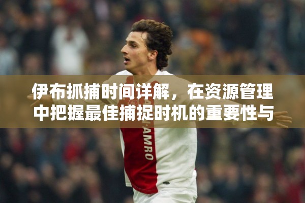 伊布抓捕时间详解，在资源管理中把握最佳捕捉时机的重要性与策略