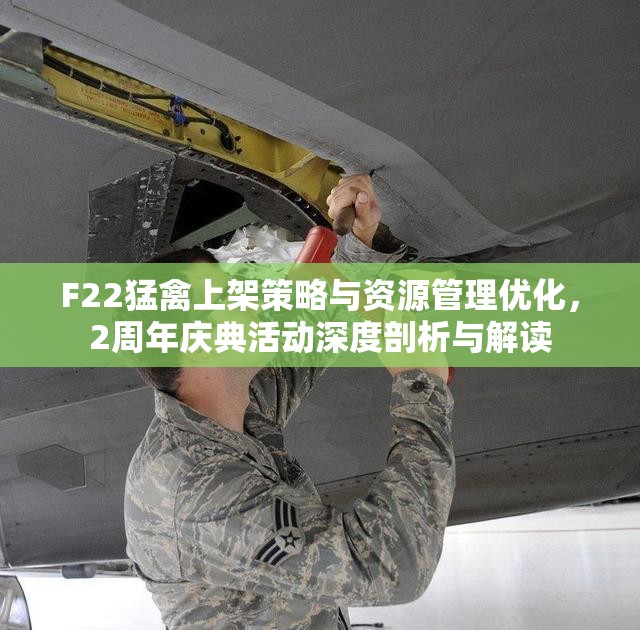 F22猛禽上架策略与资源管理优化，2周年庆典活动深度剖析与解读