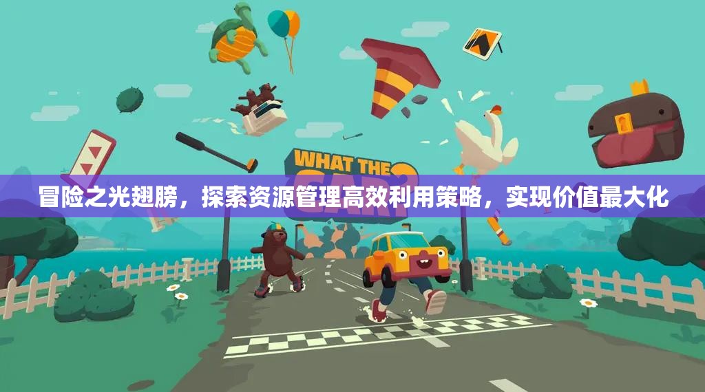 冒险之光翅膀，探索资源管理高效利用策略，实现价值最大化