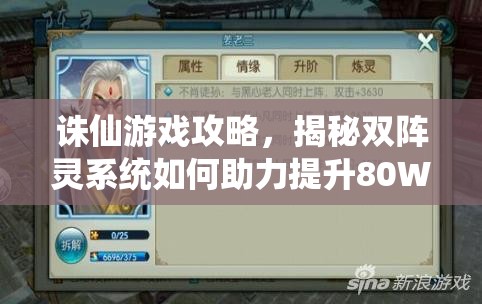 诛仙游戏攻略，揭秘双阵灵系统如何助力提升80W道法，及其在资源管理中的关键性运用策略