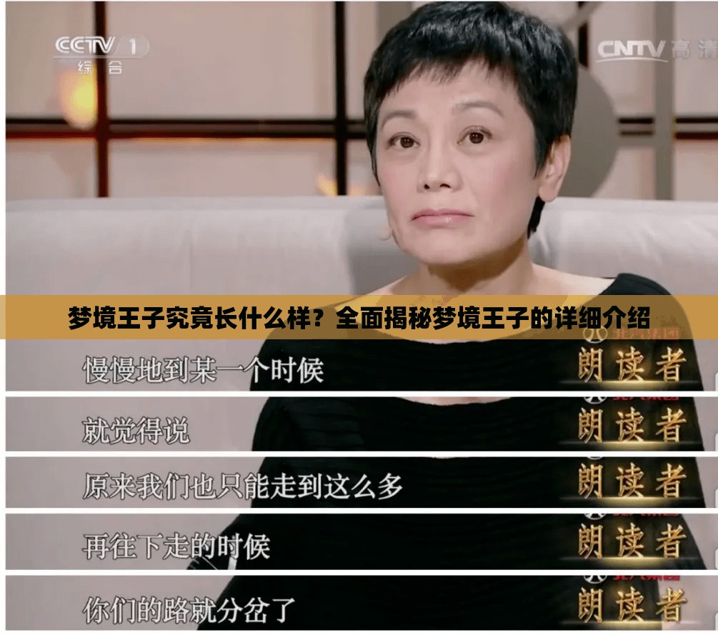 梦境王子究竟长什么样？全面揭秘梦境王子的详细介绍