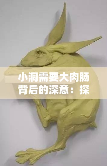 小洞需要大肉肠背后的深意：探讨现代生活中的隐喻与情感表达