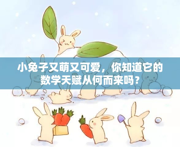 小兔子又萌又可爱，你知道它的数学天赋从何而来吗？