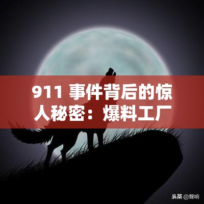 911 事件背后的惊人秘密：爆料工厂揭示不为人知的真相