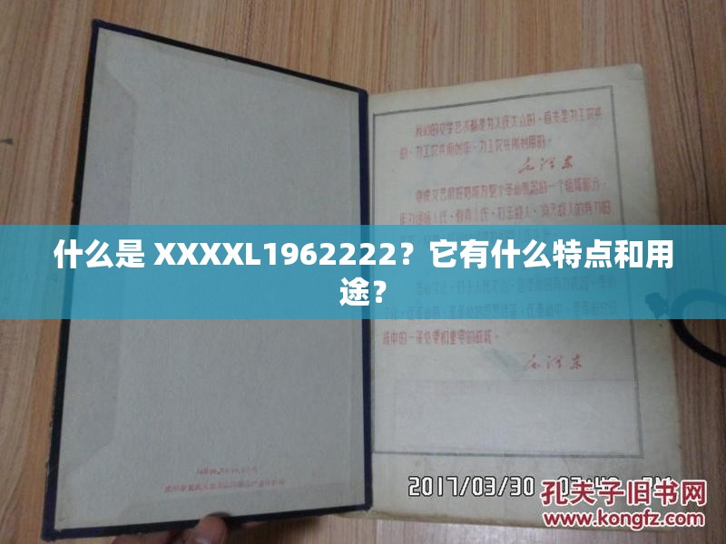 什么是 XXXXL1962222？它有什么特点和用途？