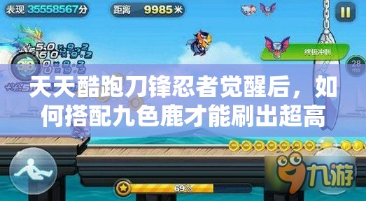 天天酷跑刀锋忍者觉醒后，如何搭配九色鹿才能刷出超高分数？