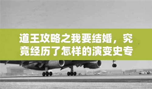 道王攻略之我要结婚，究竟经历了怎样的演变史专题揭秘？