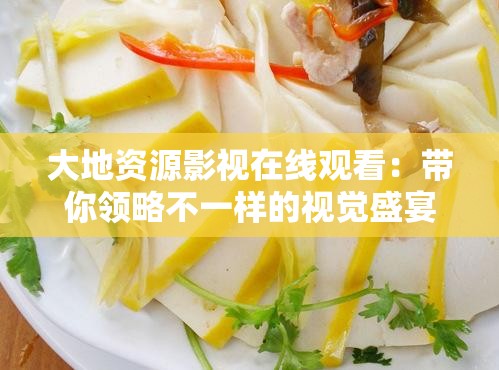 大地资源影视在线观看：带你领略不一样的视觉盛宴