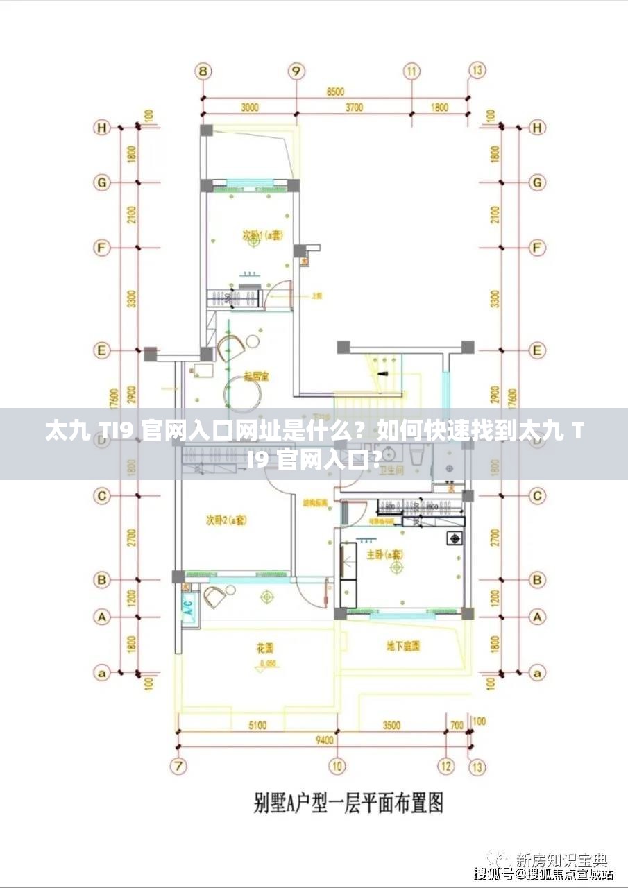 太九 TI9 官网入口网址是什么？如何快速找到太九 TI9 官网入口？