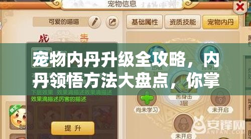 宠物内丹升级全攻略，内丹领悟方法大盘点，你掌握了吗？