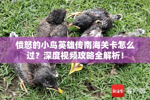 愤怒的小鸟英雄传南海关卡怎么过？深度视频攻略全解析！