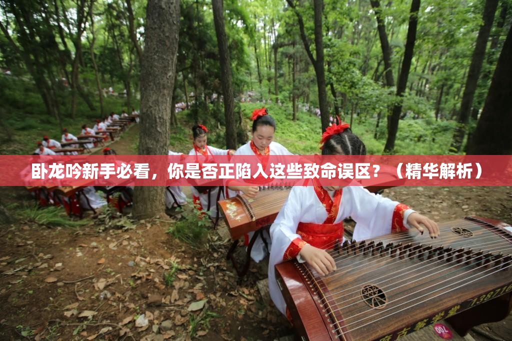 卧龙吟新手必看，你是否正陷入这些致命误区？（精华解析）