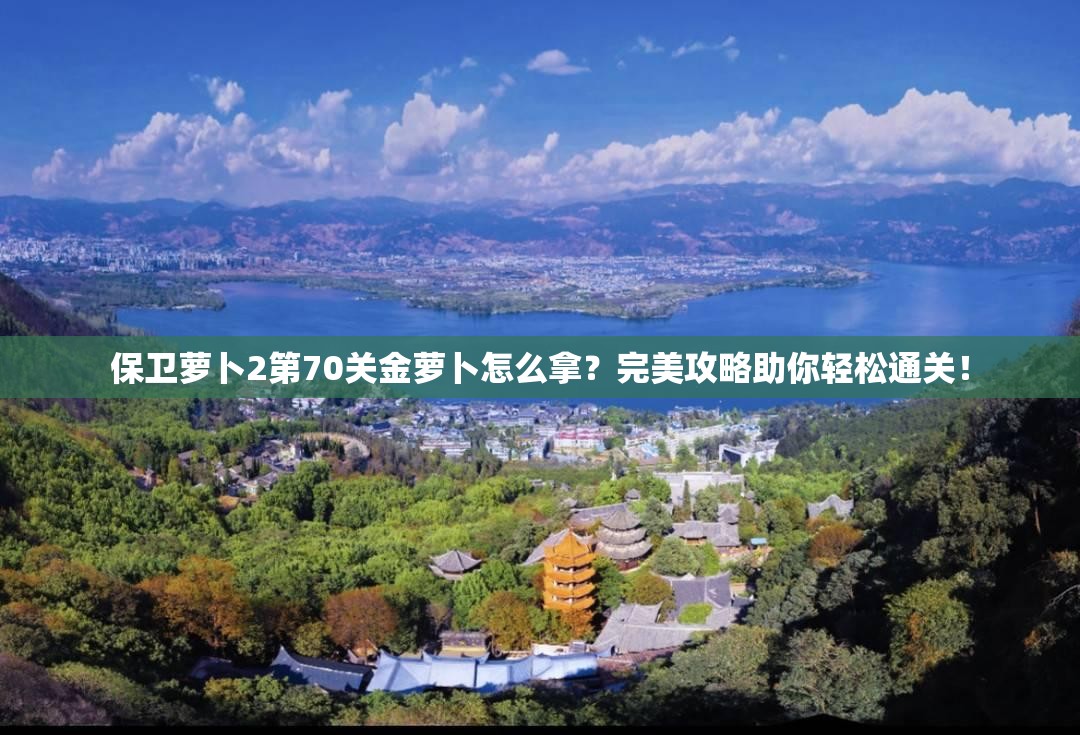 保卫萝卜2第70关金萝卜怎么拿？完美攻略助你轻松通关！