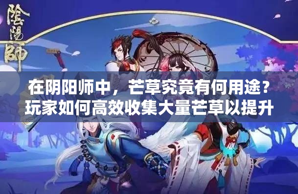 在阴阳师中，芒草究竟有何用途？玩家如何高效收集大量芒草以提升游戏体验？