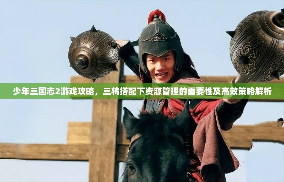 少年三国志2游戏攻略，三将搭配下资源管理的重要性及高效策略解析