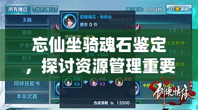 忘仙坐骑魂石鉴定，探讨资源管理重要性及实施高效利用策略