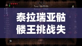 泰拉瑞亚骷髅王挑战失败应对策略，高效资源管理技巧与实战分析