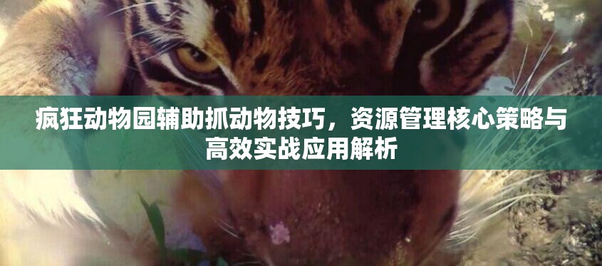 疯狂动物园辅助抓动物技巧，资源管理核心策略与高效实战应用解析