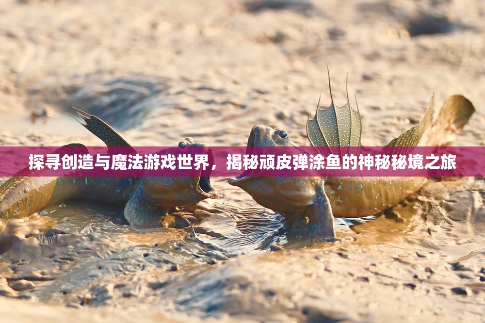 探寻创造与魔法游戏世界，揭秘顽皮弹涂鱼的神秘秘境之旅