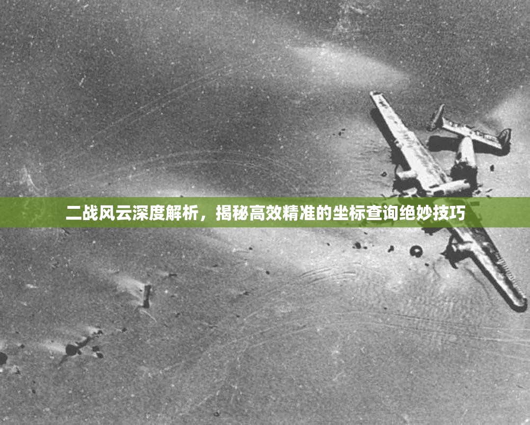 二战风云深度解析，揭秘高效精准的坐标查询绝妙技巧