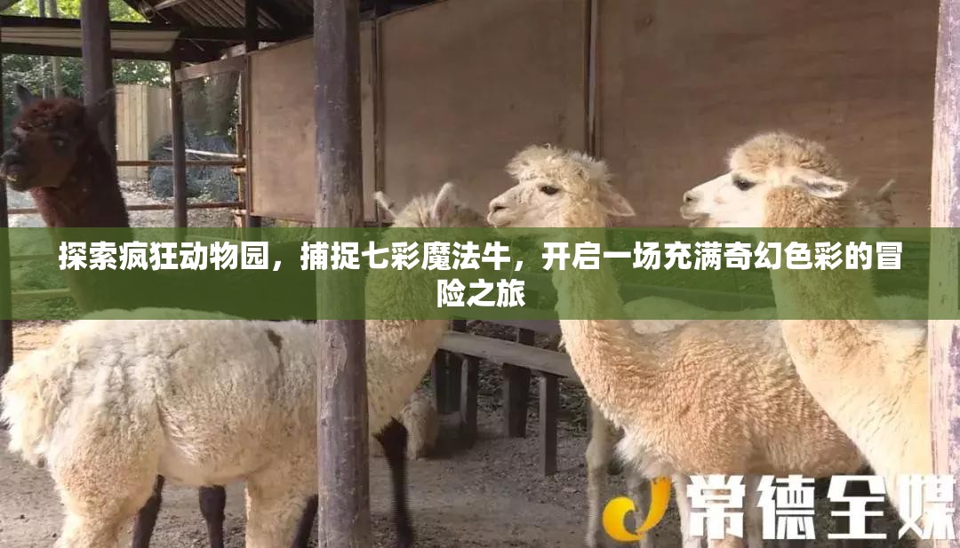 探索疯狂动物园，捕捉七彩魔法牛，开启一场充满奇幻色彩的冒险之旅
