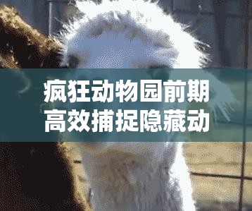 疯狂动物园前期高效捕捉隐藏动物的绝密技巧与攻略指南