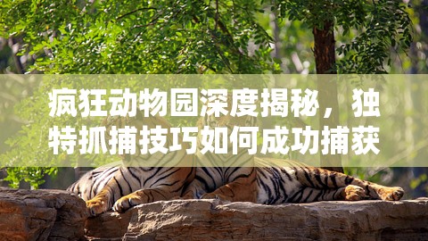 疯狂动物园深度揭秘，独特抓捕技巧如何成功捕获史前巨兽剑龙