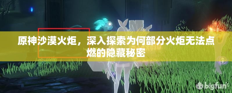 原神沙漠火炬，深入探索为何部分火炬无法点燃的隐藏秘密