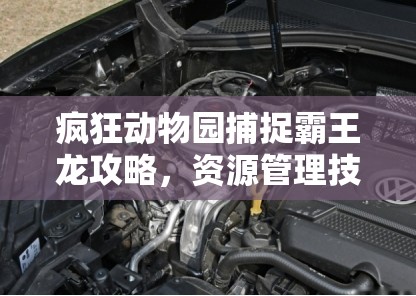 疯狂动物园捕捉霸王龙攻略，资源管理技巧与最大化其展示与游玩价值策略