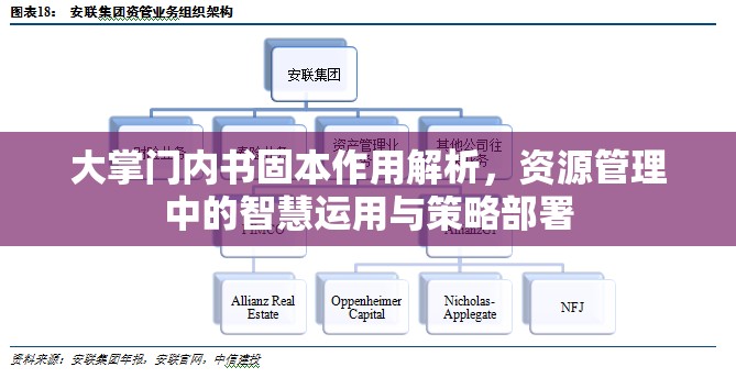 大掌门内书固本作用解析，资源管理中的智慧运用与策略部署