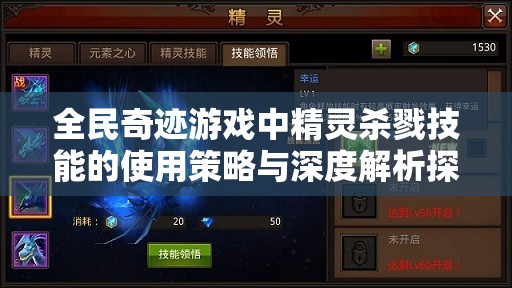 全民奇迹游戏中精灵杀戮技能的使用策略与深度解析探讨