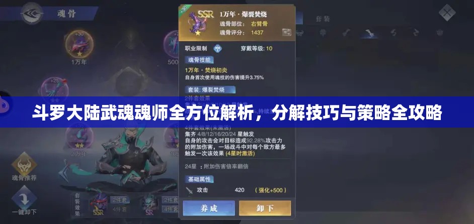 斗罗大陆武魂魂师全方位解析，分解技巧与策略全攻略