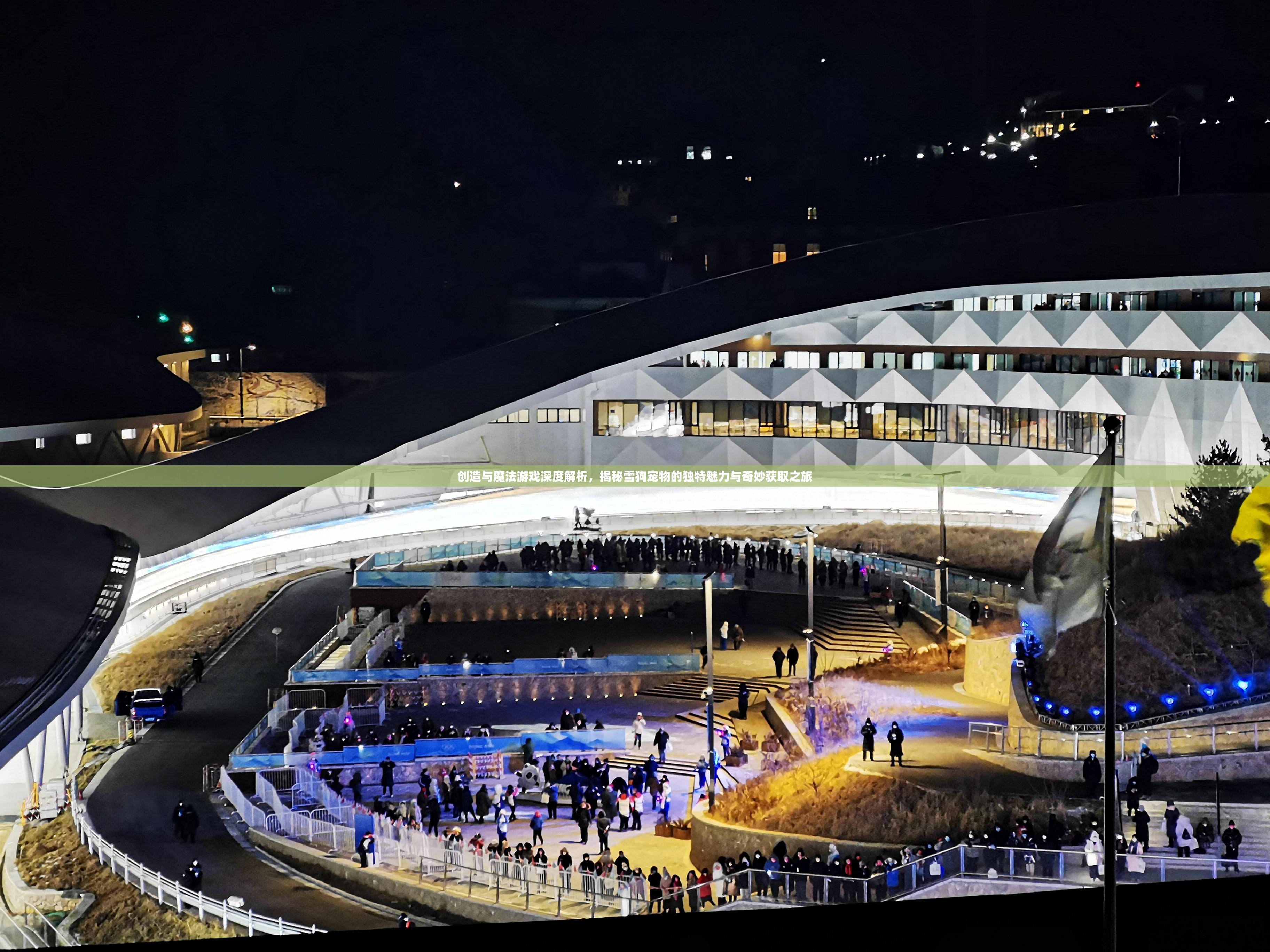 创造与魔法游戏深度解析，揭秘雪狗宠物的独特魅力与奇妙获取之旅