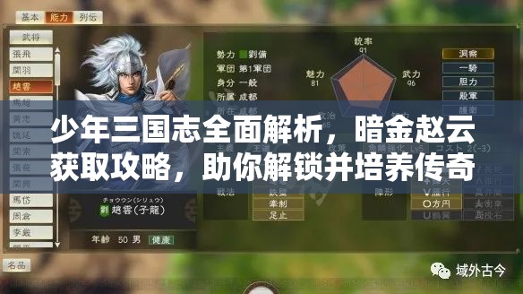 少年三国志全面解析，暗金赵云获取攻略，助你解锁并培养传奇武将之路