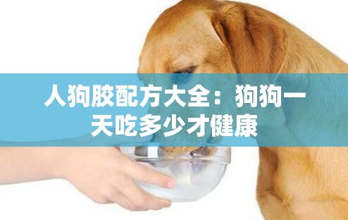 人狗胶配方大全：狗狗一天吃多少才健康