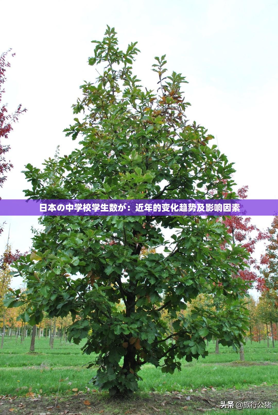 日本の中学校学生数が：近年的变化趋势及影响因素