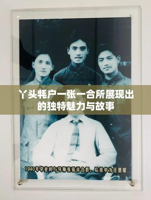 丫头牦户一张一合所展现出的独特魅力与故事