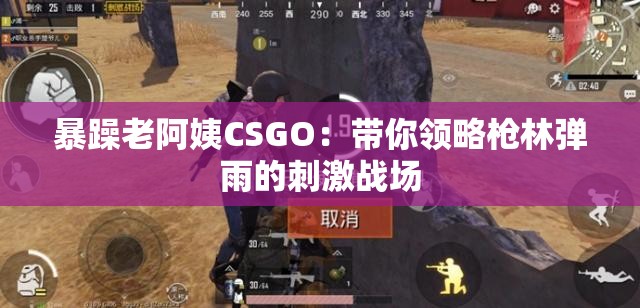暴躁老阿姨CSGO：带你领略枪林弹雨的刺激战场